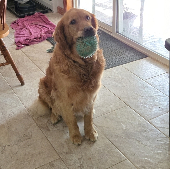 Love The Item But Not The Price.  Send An Offer LET'S BUNDLE - Picture 2 of 2